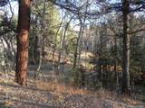 430 Pinon Lane - Photo 6