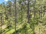 1180 Lone Scout Lookout - Photo 6