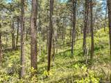 1180 Lone Scout Lookout - Photo 7