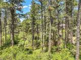 1180 Lone Scout Lookout - Photo 8