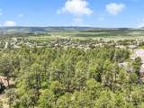 1180 Lone Scout Lookout - Photo 10