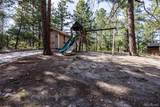 545 Tenderfoot Drive - Photo 48