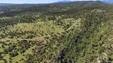  Old Homestead Lane - Photo 11