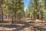 23550 Pleasant Park Road - Photo 44