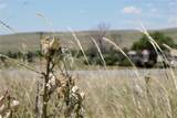 Tract 22 Sweet Road - Photo 9