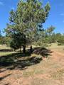 330 Arrowhead Drive - Photo 26