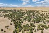 25500 State Highway 86 - Photo 40