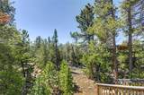 34028 Lyttle Dowdle Drive - Photo 31