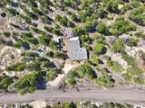 34028 Lyttle Dowdle Drive - Photo 44
