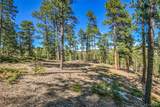 3325 Timbergate Trail - Photo 4