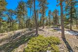 3325 Timbergate Trail - Photo 8