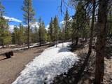 180 Mt Massive Road - Photo 2
