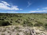  Railroad Springs Road - Photo 3