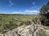  Railroad Springs Road - Photo 4
