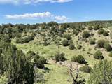  Railroad Springs Road - Photo 7