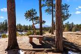 4340 Foxchase Way - Photo 45