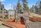 10116 Sprucedale Drive - Photo 32