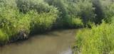 Lot 4053 Hilton Road - Photo 8