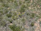 Lot 126 Cl&L Ranch Unit G - Photo 10