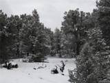 2119 & 2120 Oriole Overlook - Photo 1