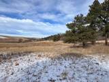 10555 Big Sky Trail - Photo 4