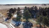 10555 Big Sky Trail - Photo 9