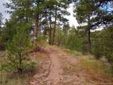 000 Gold Pan Trail - Photo 14