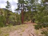 000 Gold Pan Trail - Photo 16