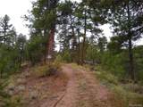 000 Gold Pan Trail - Photo 28