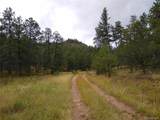 000 Gold Pan Trail - Photo 32