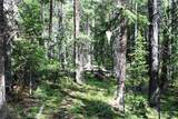 Lot 209 Upper Forest Road - Photo 11
