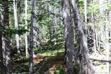 Lot 209 Upper Forest Road - Photo 12