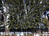 Lot 209 Upper Forest Road - Photo 17