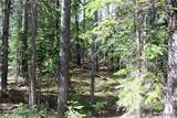 Lot 209 Upper Forest Road - Photo 3
