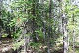 Lot 209 Upper Forest Road - Photo 4