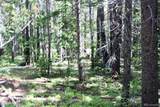 Lot 209 Upper Forest Road - Photo 9
