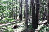 Lot 209 Upper Forest Road - Photo 10