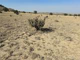 TBD 40AC Las Animas Ranch - Photo 7
