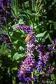 6291 Pilgrimage Road - Photo 44