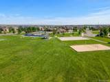 26265 Canal Place - Photo 43