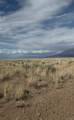 Lot 26 Cripple Creek Rd. - Photo 4