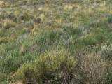 Lot 18 Frontera Road - Photo 6