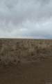 Lot 13 Sanford Rd. - Photo 6
