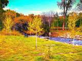 7383 Heavenly View Parkway - Photo 11