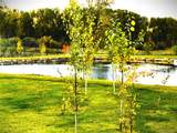 7383 Heavenly View Parkway - Photo 12