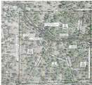  Ponderosa Lane - Photo 15