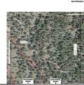  Ponderosa Lane - Photo 19