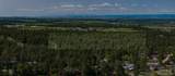  Ponderosa Lane - Photo 22