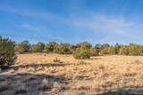 24 Hatchet Ranch - Photo 11