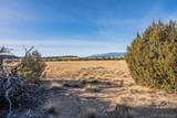 24 Hatchet Ranch - Photo 8